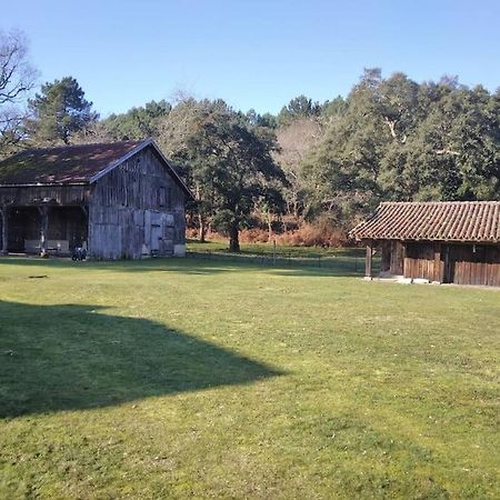 Apartament Le Petit Frouas Sud Vielle-Saint-Girons Zewnętrze zdjęcie