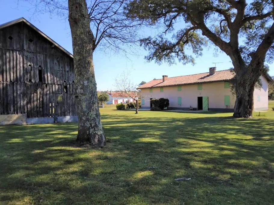 Apartament Le Petit Frouas Sud Vielle-Saint-Girons Zewnętrze zdjęcie
